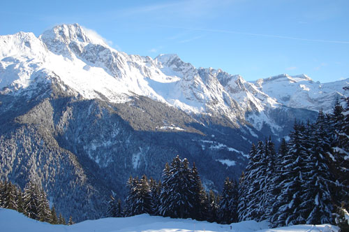Ski residence Résidence Alpenrose